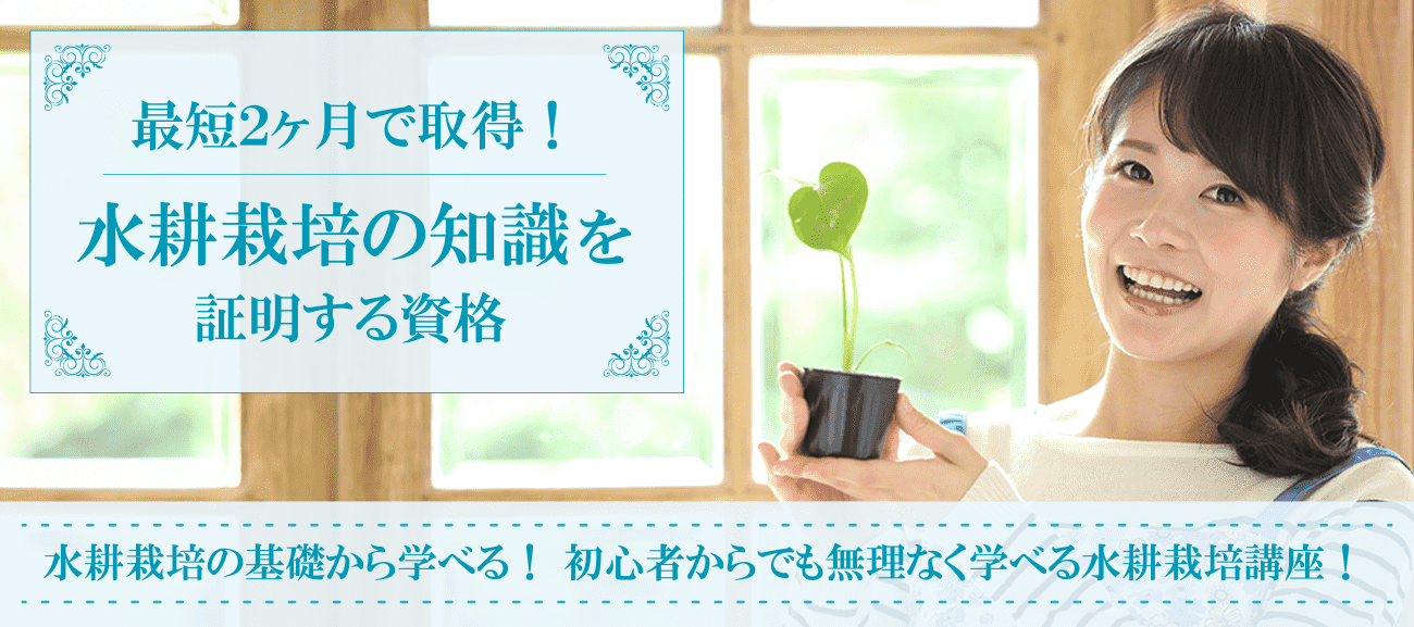 水耕栽培資格取得検定の通信講座