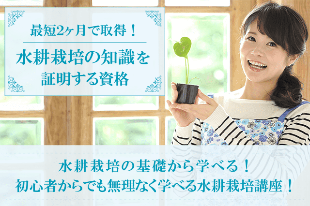 水耕栽培資格取得の通信講座・通信教育 | SARAスクール