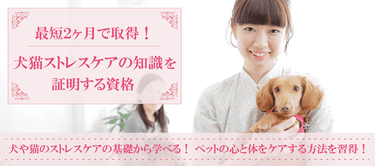 犬猫ストレスケア資格取得検定の通信講座