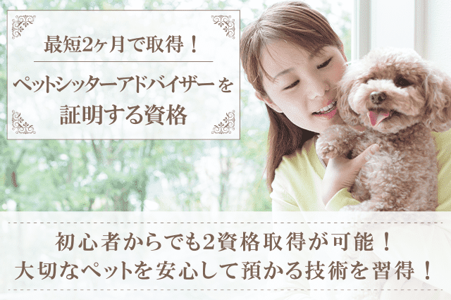 ビジネスクリエイター認定講座 ベーシック2級 NTT西日本】多機能ビジネスフォンシステム「SmartNetcommunity