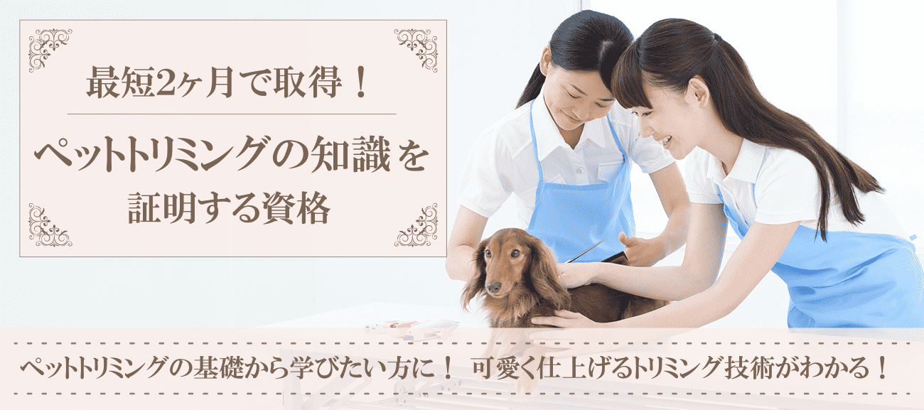 トリマー資格取得検定の通信講座