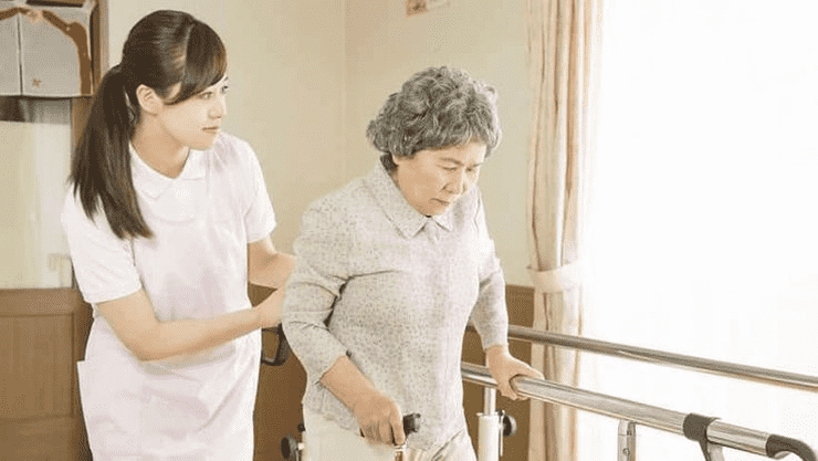 介護食資格の比較