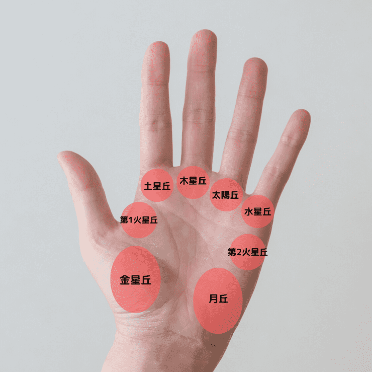 手相に不可欠な「8つの丘」とは?