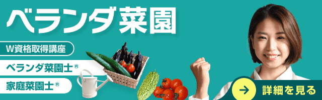 ベランダ菜園