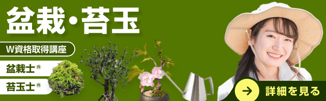 盆栽・苔玉