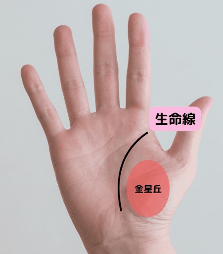 生命線はどこにある?