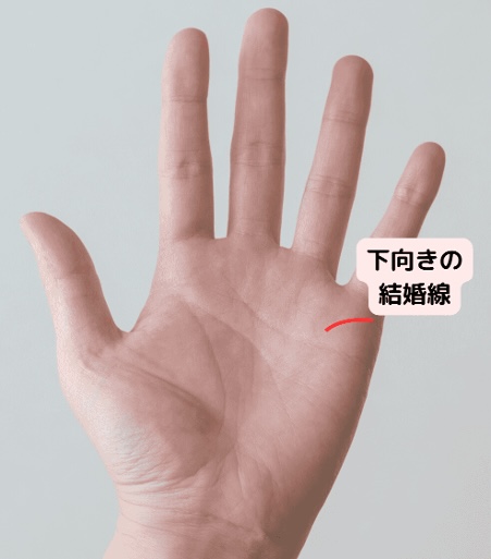(13)臆病になりがち「結婚線が下に向かって伸びている」
