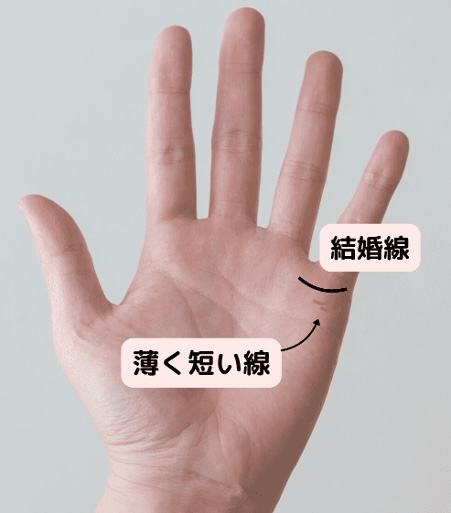 (14)不倫願望あり!?「結婚線の下に薄く短い線がある」