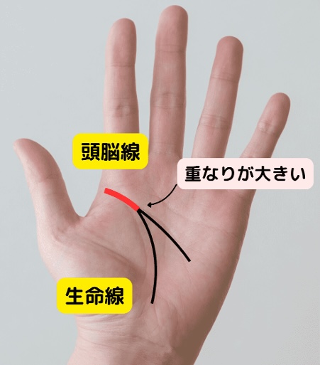(15)慎重すぎて損する?「頭脳線と生命線の重なりが長い」