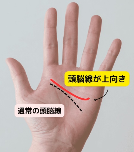 (16)なぜ決められない?「頭脳線に乱れ」