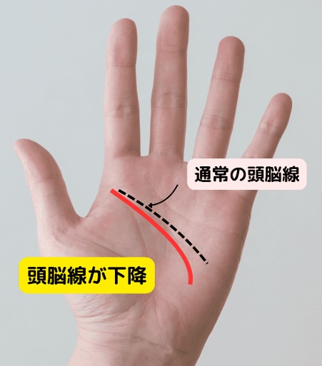 (21)ストレスに注意!「頭脳線(知能線)が下降している」