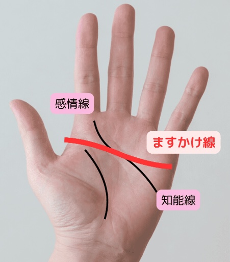 (3)波乱万丈でも必ず成功!?強運のますかけ線