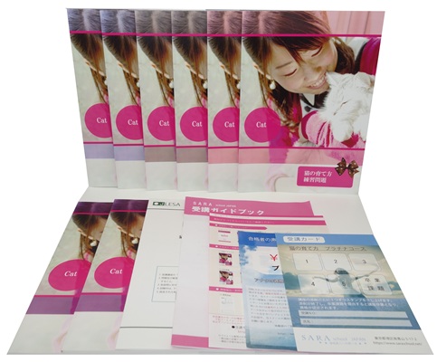 猫の育て方プラチナコース