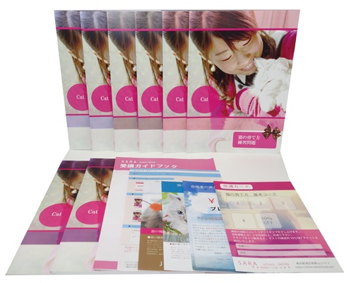 猫の育て方基本コース