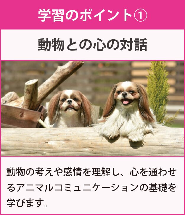 学習のポイント