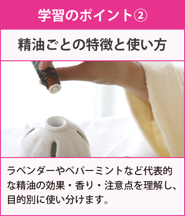 学習のポイント