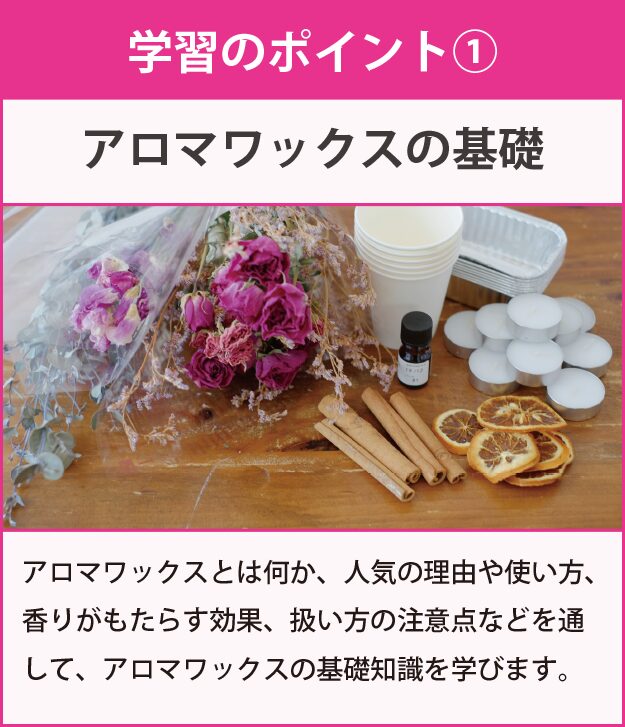 学習のポイント