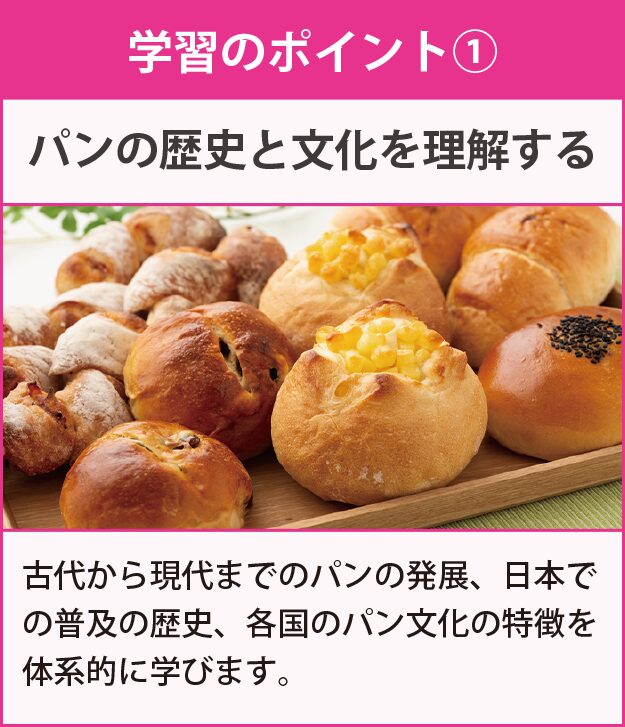 学習のポイント