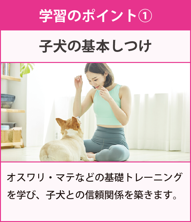 学習のポイント