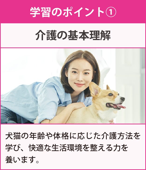 学習のポイント