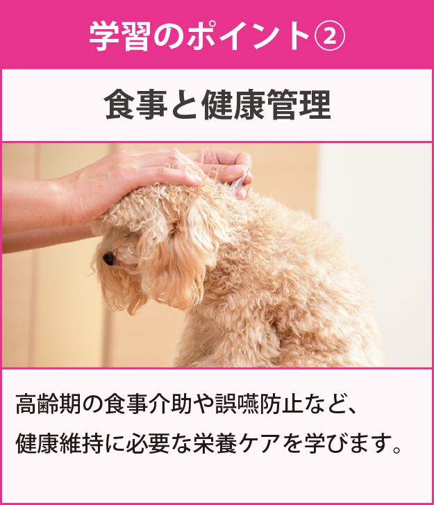 学習のポイント