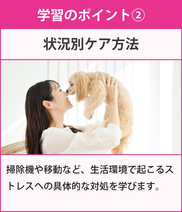 学習のポイント