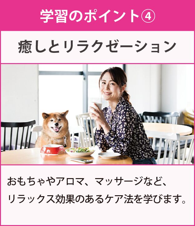 学習のポイント