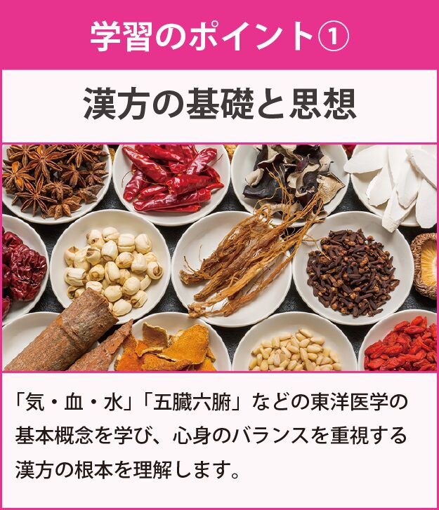 学習のポイント