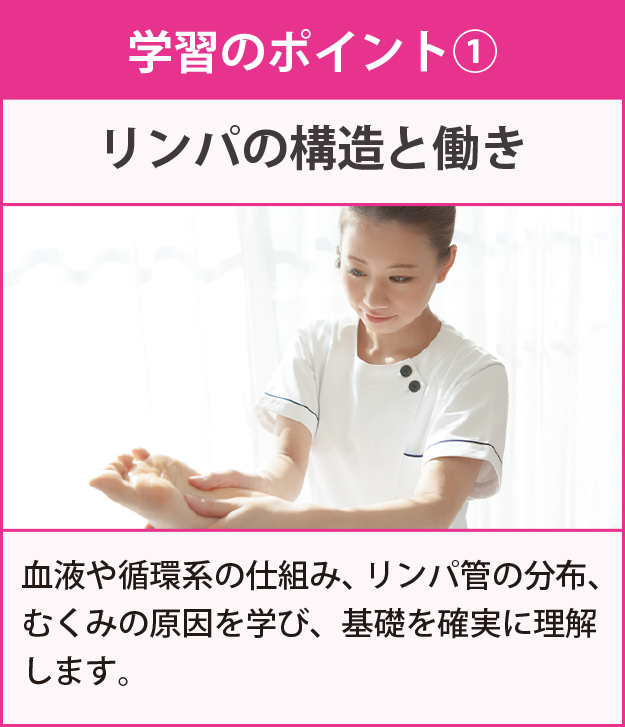 学習のポイント