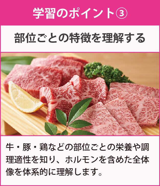 学習のポイント