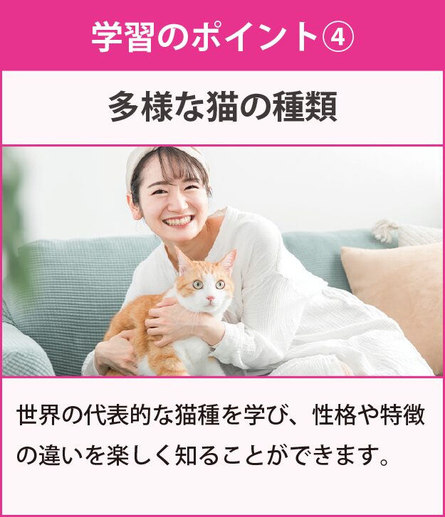 学習のポイント