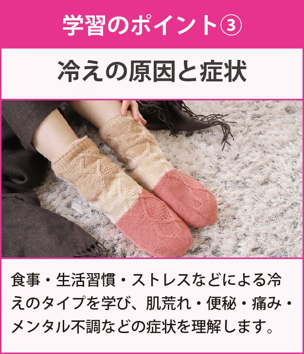 学習のポイント