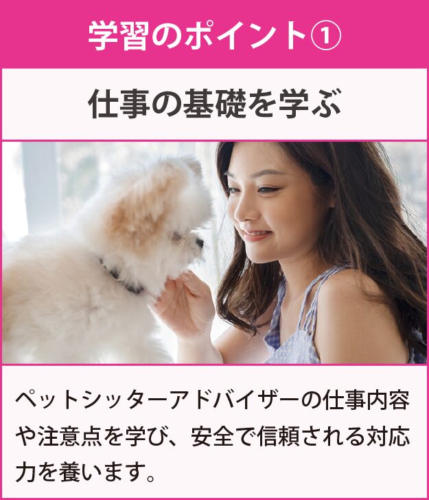 学習のポイント