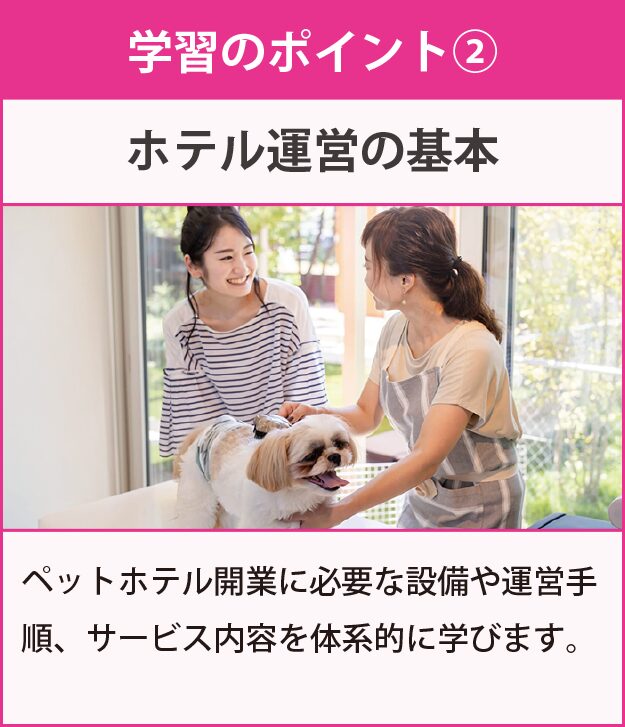 学習のポイント