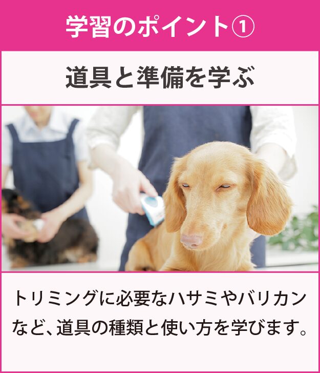 学習のポイント