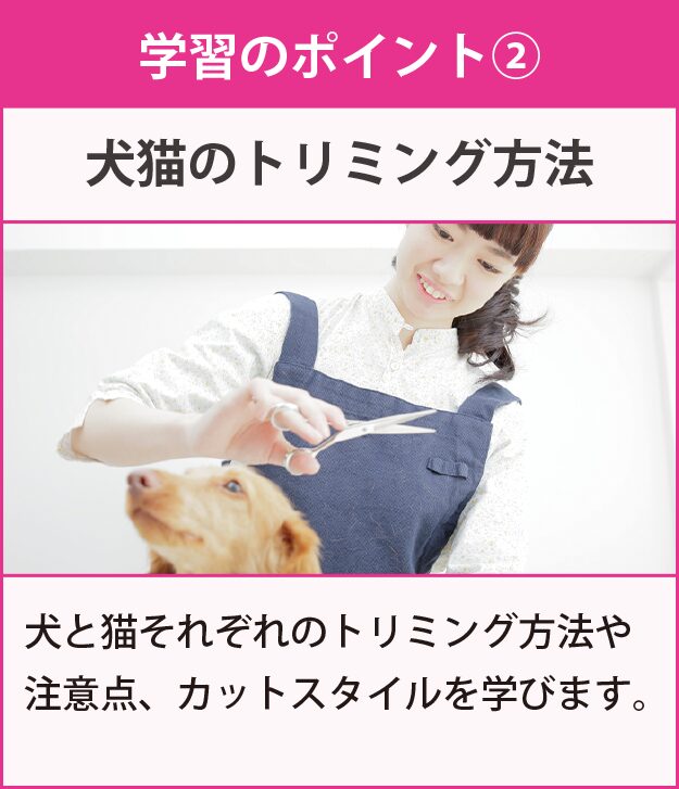 学習のポイント