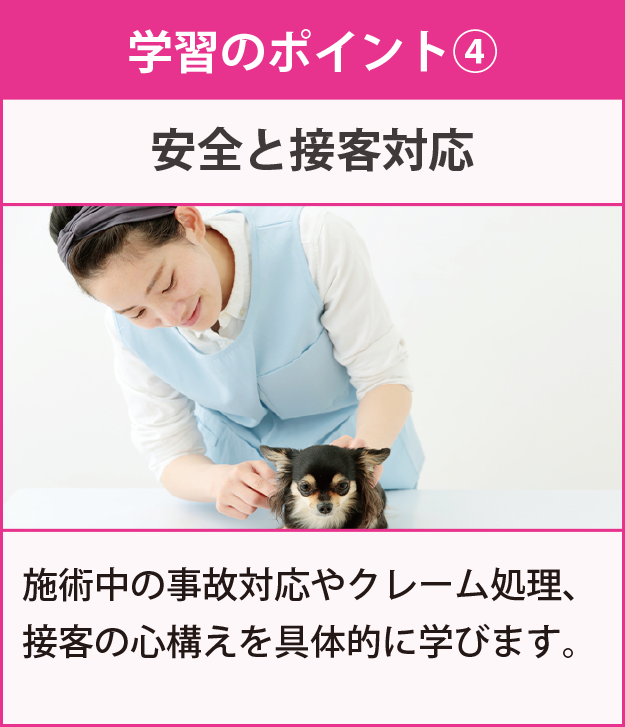 学習のポイント