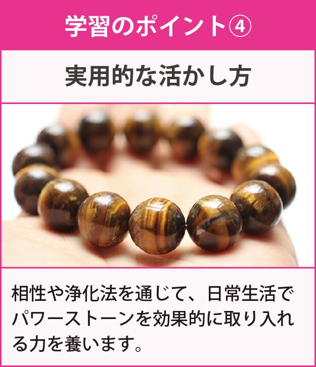 学習のポイント