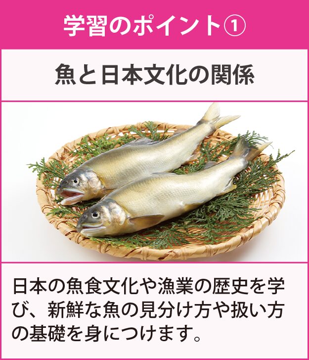 学習のポイント