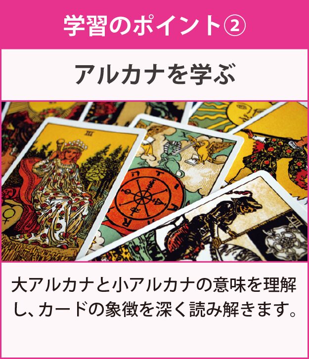 学習のポイント