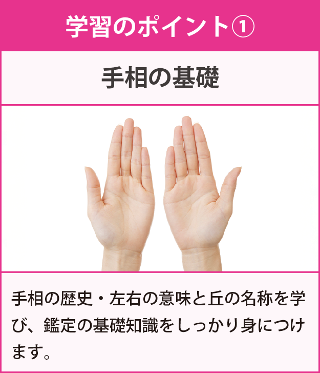 学習のポイント