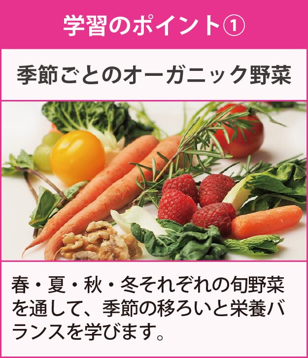 学習のポイント