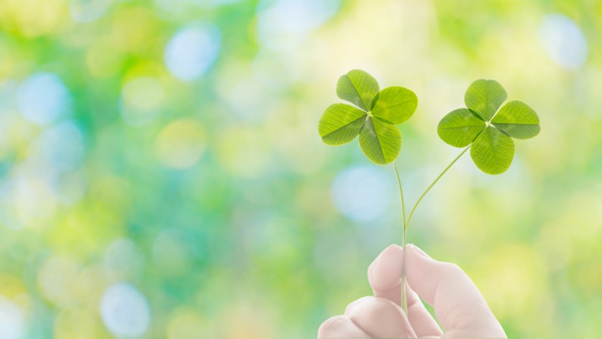 ますかけ線がもたらす幸運と成功